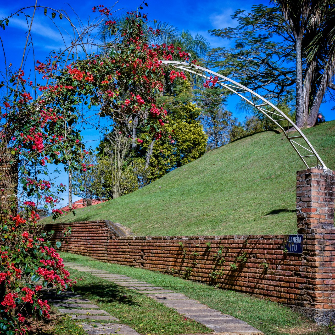 36186064695_f7cd29ea75_k